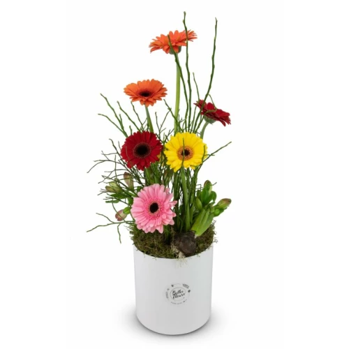 Box of flowers